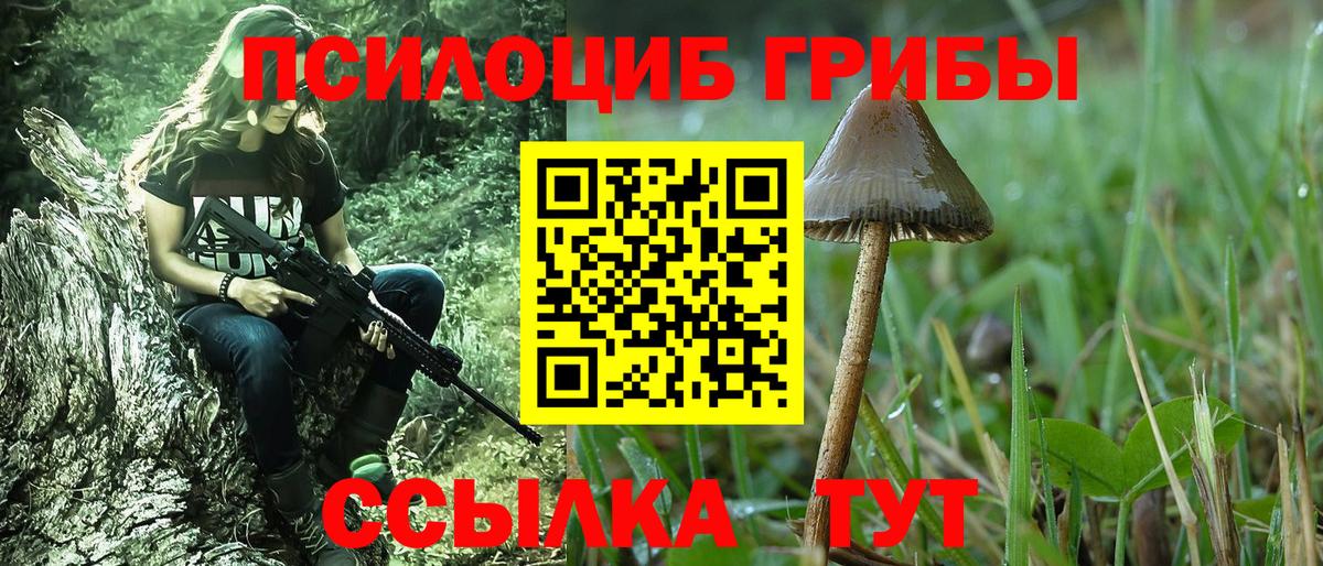 Псилоцибиновые грибы GOLDEN TEACHER Татарск