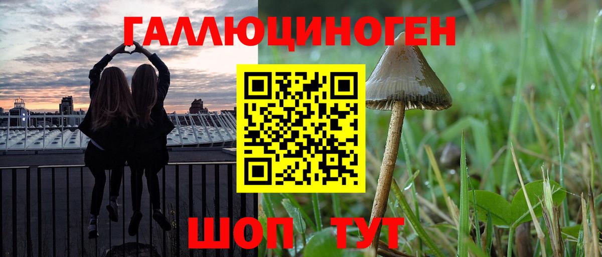 Татарск  где продают   Вход с VPN  Галлюциногенные грибы Psilocybine cubensis  Псилоцибиновые грибы Psilocybe 